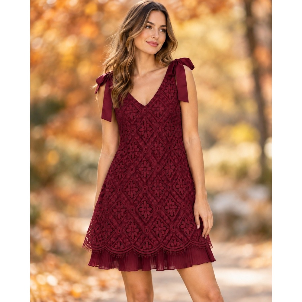 Nanette Nanette Lepore Burgundy Lace Mini Dress Dark Romantic Coquette Size 2